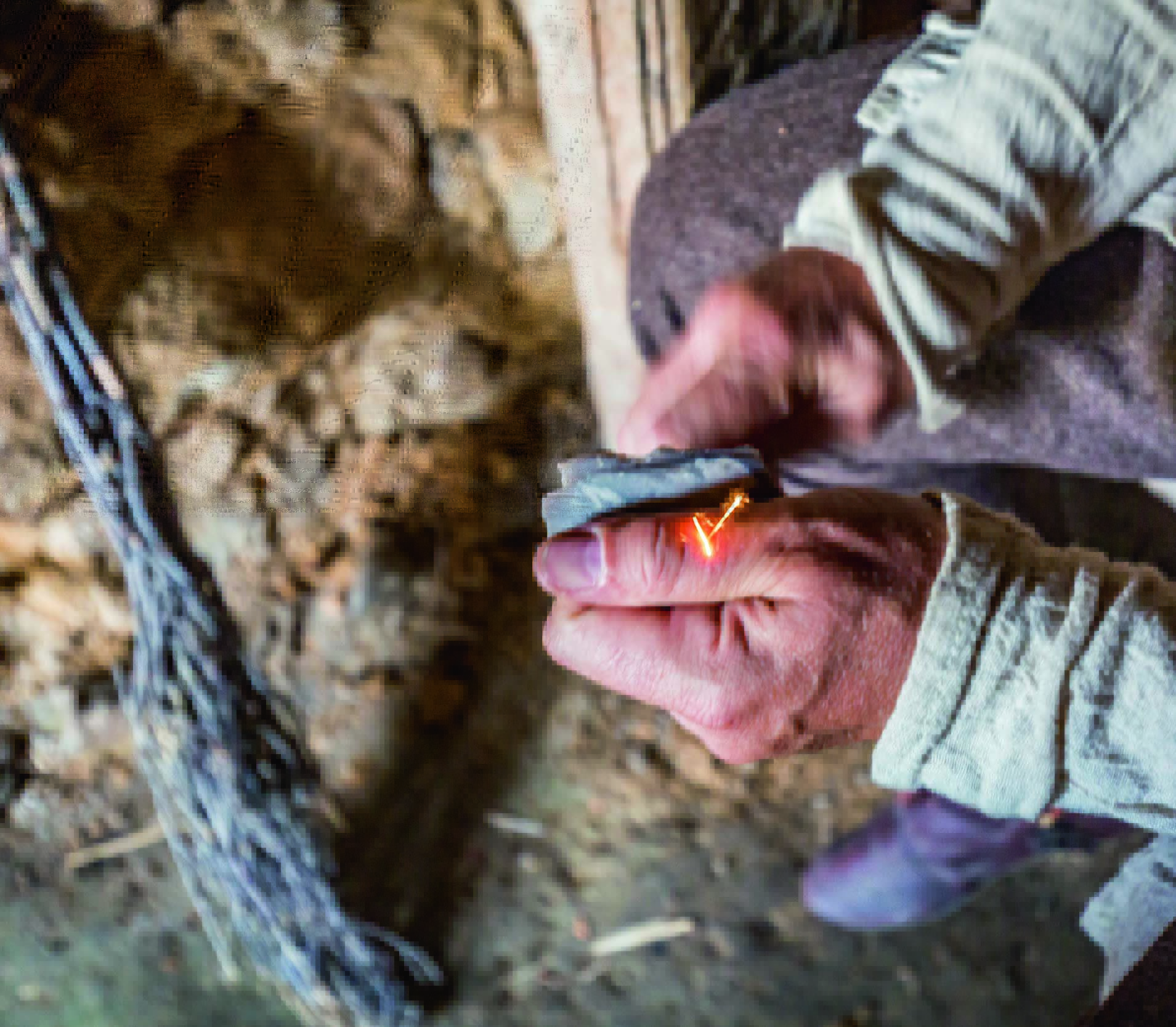 Beispiel aktuelle Information zum Trägerverein